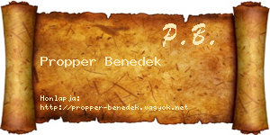 Propper Benedek névjegykártya